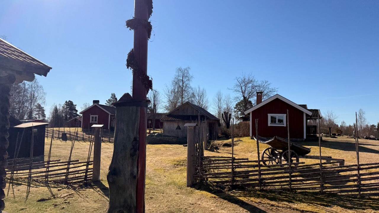 Trail running through Swedish landscape