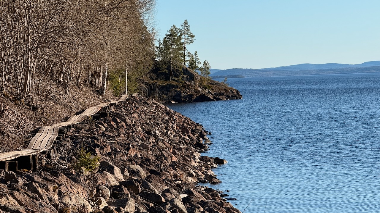 Trailrunning genom svenskt landskap